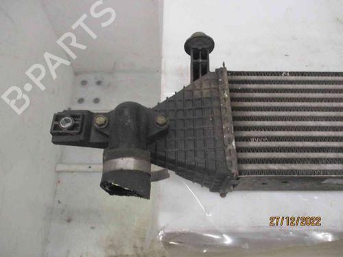 Intercooler NISSAN QASHQAI / QASHQAI +2 I (J10, NJ10, JJ10E) 1.6 dCi | BP26627904M30 