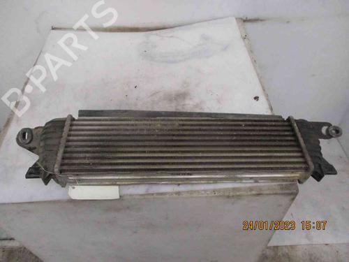 Intercooler RENAULT KANGOO Express (FC0/1_)  | BP26628635M30 