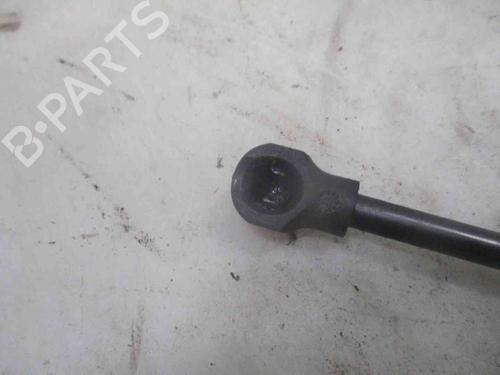 Tailgate lift support RENAULT CLIO IV (BH_) 1.5 dCi 75 | BP19735324C138 