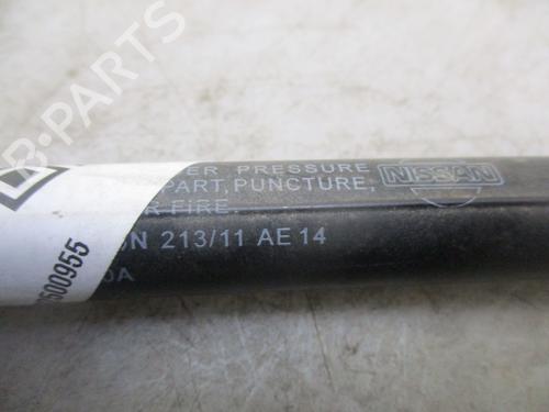 Tailgate lift support NISSAN QASHQAI / QASHQAI +2 I (J10, NJ10, JJ10E) 1.5 dCi | BP24996670C138 