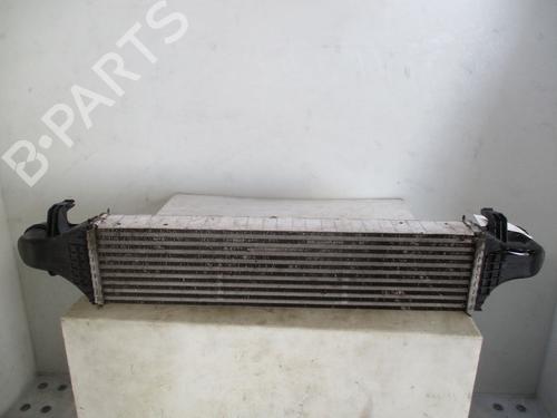 Intercooler MERCEDES-BENZ A-CLASS (W176) A 180 (176.042) | BP30865569M30