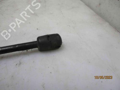 Hood lift support BMW 1 (F20) 118 d | BP25735278C139 