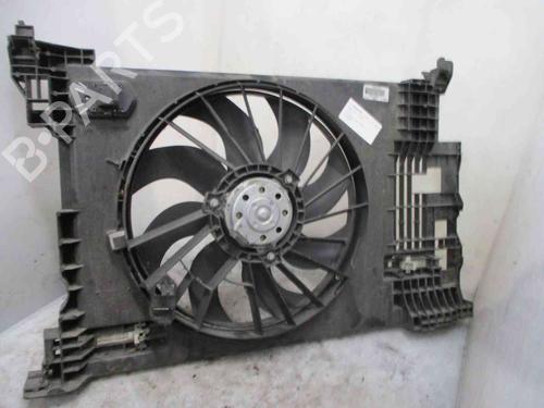 Radiator fan RENAULT MEGANE II (BM0/1_, CM0/1_) 2.0 dCi 7701071865 7701071865