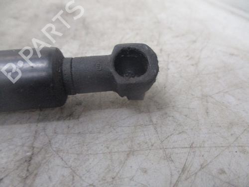 Hood lift support BMW 3 (E46) 318 d | BP24121968C139 