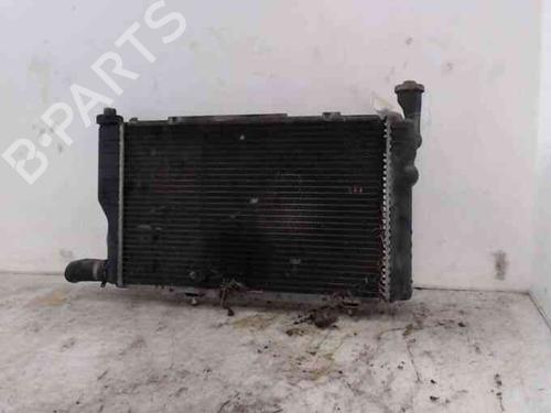 Water radiator PEUGEOT 205 I (741A/C)  | BP24006821M31 
