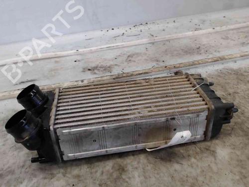 Intercooler CITROËN BERLINGO MULTISPACE (B9) 1.6 HDi 90 | BP19714011M30 