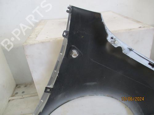Left front fenders RENAULT KANGOO / GRAND KANGOO II (KW0/1_) 1.5 dCi 90 (KW05, KW08, KW0G, KW11) | BP26175909C41 