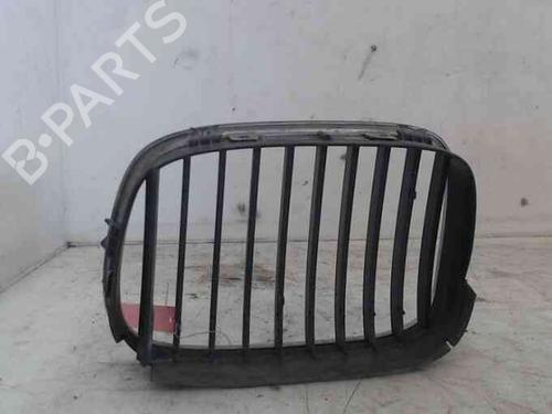 Grille BMW 5 (E39) 525 tds | BP19711684C40 