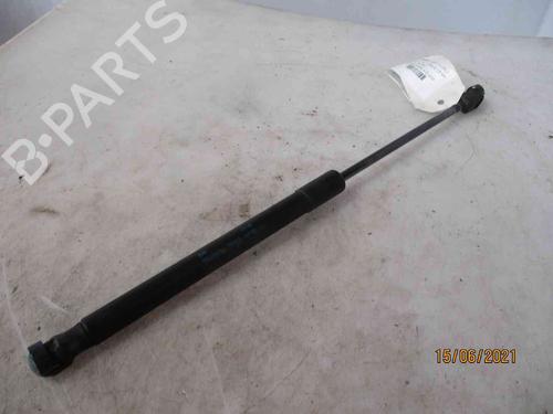 Tailgate lift support SEAT ALTEA XL (5P5, 5P8)  | BP19738513C138 