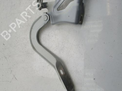Hinge/Door check strap DACIA SANDERO III 1.0 SCe 65 | BP26636525C146 