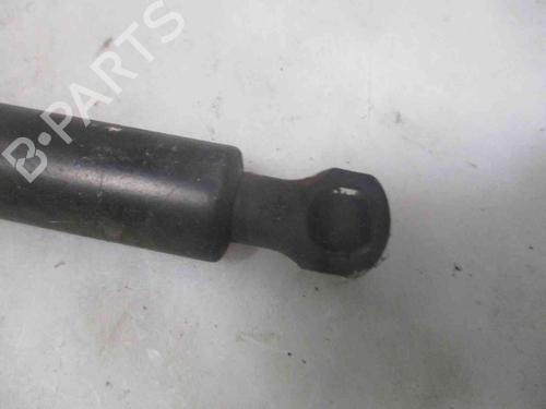 Tailgate lift support CITROËN SAXO (S0, S1) 1.5 D | BP19737427C138 