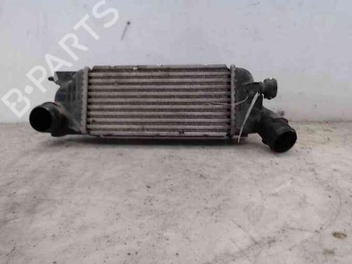 Used Intercooler PEUGEOT 407 SW (6E_, 6D_) 2.0 HDi 135 (136 hp) 19712848