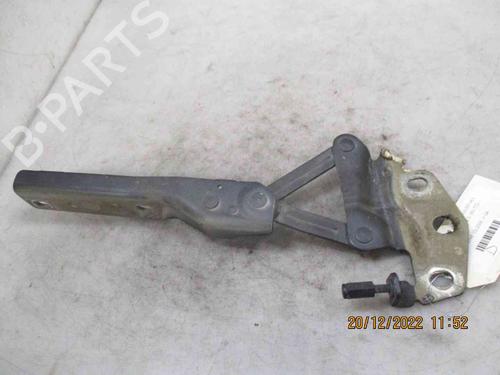 Hinge/Door check strap VW PASSAT B6 (3C2)  | BP26625585C146 