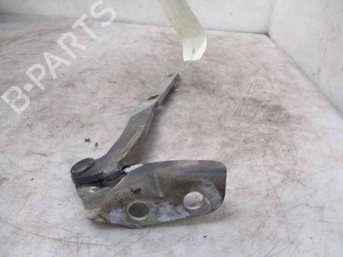 Hinge/Door check strap LAND ROVER FREELANDER I (L314)  | BP19723076C146 