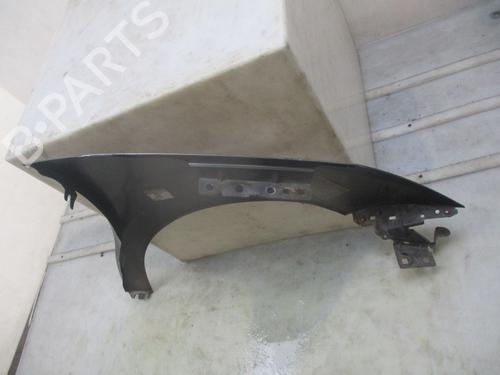 Left front fenders CITROËN C3 II (SC_) 1.4 HDi 70 (SC8HZC, SC8HR0, SC8HP4) | BP29642856C41 