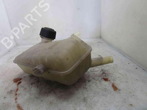 Expansion tank RENAULT SCÉNIC II (JM0/1_) 1.9 dCi (JM14) | BP19712964C120 