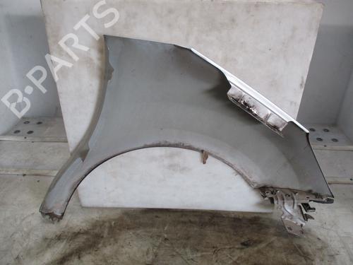 Left front fenders CITROËN C3 II (SC_) 1.4 | BP30116719C41 