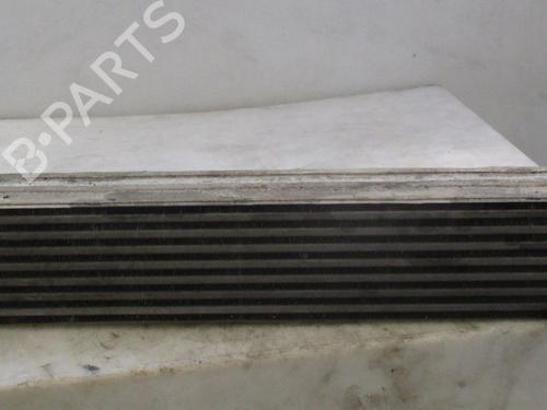Used Intercooler RENAULT MEGANE III Coupe (DZ0/1_) 1.6 dCi (DZ00, DZ12, DZ2A, DZ13) (130 hp) 32456117