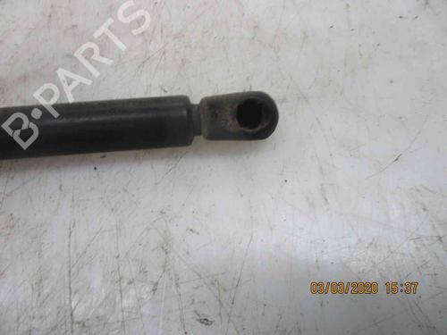 Tailgate lift support NISSAN PRIMERA (P11)  | BP19735259C138 