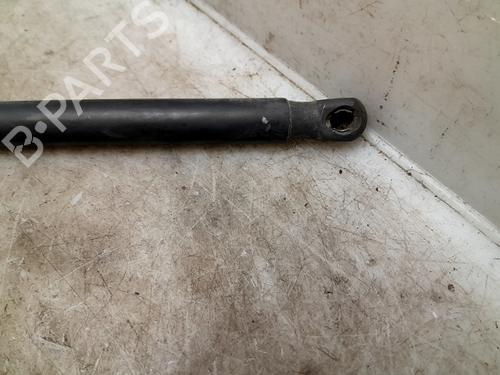 Tailgate lift support FORD C-MAX II (DXA/CB7, DXA/CEU) 1.6 TDCi | BP24971057C138 
