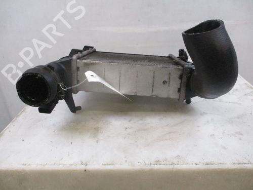 Intercooler AUDI A4 B7 (8EC) 2.0 TDI | BP31575325M30 