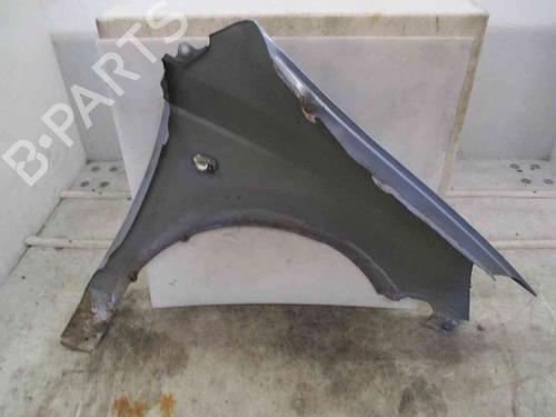 Left front fenders HYUNDAI GETZ (TB) 1.1 | BP19723143C41 