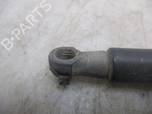 Tailgate lift support NISSAN QASHQAI / QASHQAI +2 I (J10, NJ10, JJ10E) 1.5 dCi | BP24996669C138 