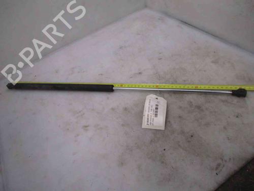 Used Hood lift support PEUGEOT 106 II (1A_, 1C_) 1.5 D (57 hp) 20204894