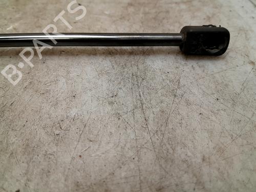 Tailgate lift support DODGE RAM 2500 Pickup (BE, BR) 5.9 | BP24013480C138 