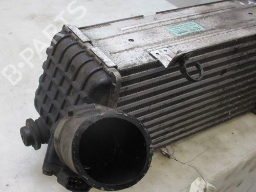 Intercooler HYUNDAI i20 I (PB, PBT) 1.1 CRDi | BP30915461M30