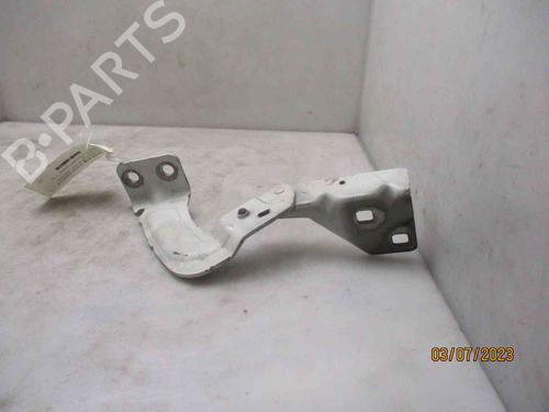 Hinge/Door check strap RENAULT KANGOO Express (FC0/1_)  | BP26631099C146 