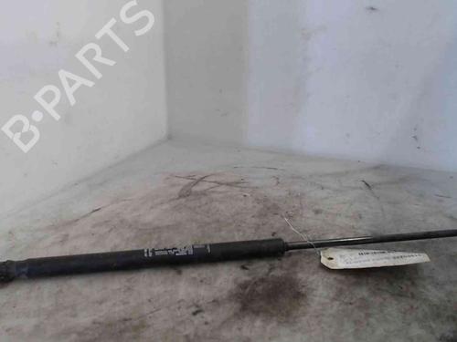 Hood lift support FIAT STILO (192_) 1.6 16V (192_XB1A) | BP24007629C139 