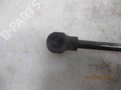 Tailgate lift support DACIA SANDERO II 1.2 | BP20204463C138 