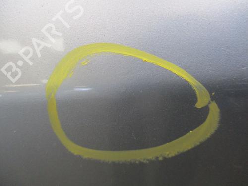 Left front door RENAULT LAGUNA II (BG0/1_) 1.9 dCi (BG1A, BG1V) | BP29379742C2 