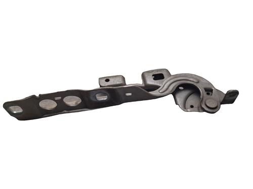hingedoor-check-strap-citroen-c4-ii-nc_-2009-40049868 main image