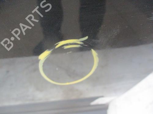 Left front door RENAULT MEGANE III Hatchback (BZ0/1_, B3_) 1.5 dCi | BP25019570C2