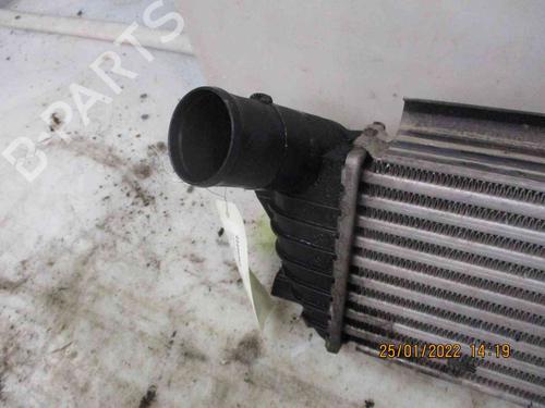 Intercooler RENAULT KANGOO (KC0/1_) 1.9 dCi 4x4 (KC0V) | BP26623936M30 