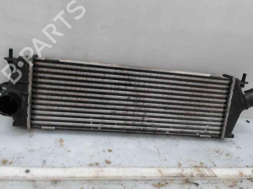 Used Intercooler RENAULT TRAFIC II Van (FL) 2.0 dCi 115 (FL01, FL0U) (114 hp) 24006770