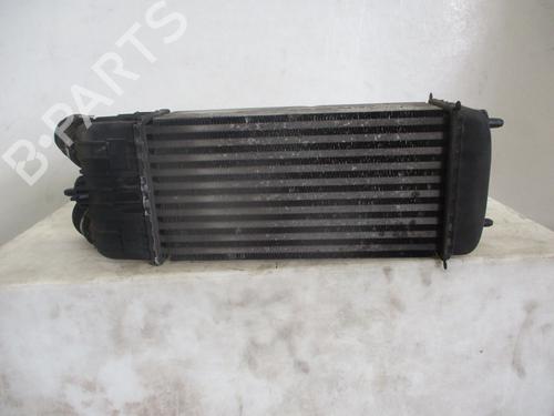 Intercooler PEUGEOT 207 (WA_, WC_) 1.6 HDi | BP29816633M30