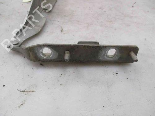 Hinge/Door check strap CITROËN C3 I (FC_, FN_)  | BP26627477C146 
