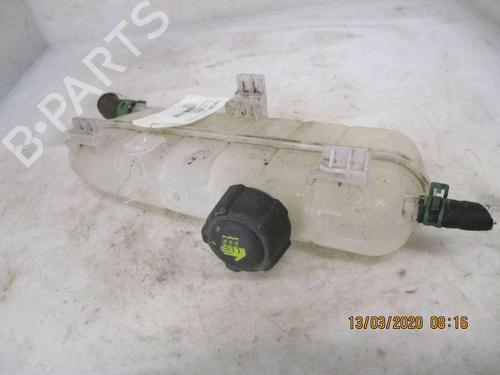 Expansion tank RENAULT ZOE (BFM_) ZOE | BP19719256C120 