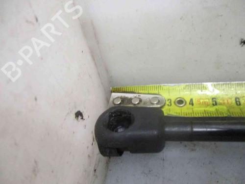 Hood lift support MINI MINI (R56) Cooper | BP19719668C139 