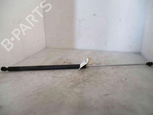 Used Hood lift support PEUGEOT 106 II (1A_, 1C_) 1.5 D (55 hp) 19712661