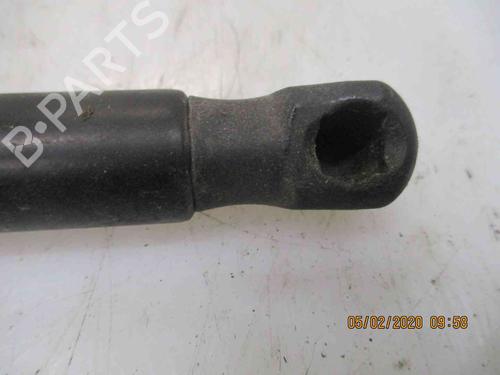 Tailgate lift support FORD FOCUS II (DA_, HCP, DP) 1.4 | BP19735008C138 