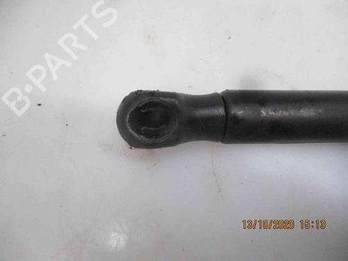 Tailgate lift support SEAT ALTEA (5P1)  | BP19735287C138 