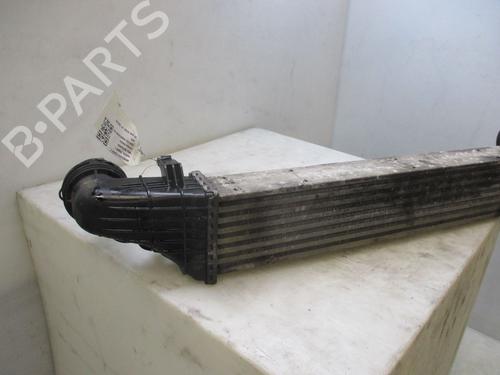 Intercooler MERCEDES-BENZ E-CLASS T-Model (S211) E 320 T CDI (211.226) | BP31029232M30 
