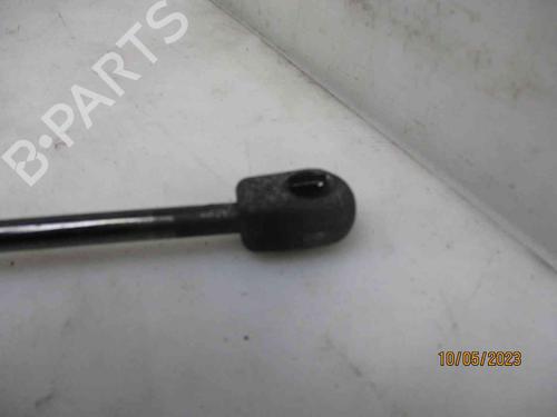 Tailgate lift support VW GOLF V (1K1)  | BP24012178C138 