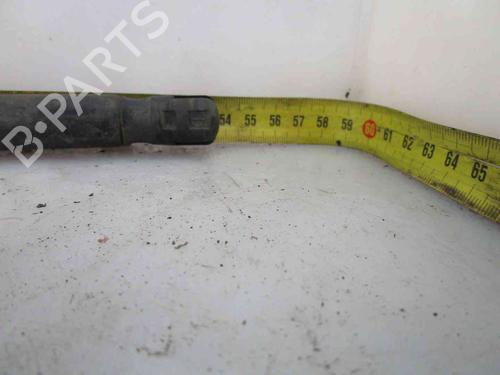 Tailgate lift support AUDI A2 (8Z0) 1.4 TDI | BP24007989C138 