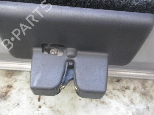 Tailgate RENAULT MEGANE II (BM0/1_, CM0/1_)  | BP29984660C6 
