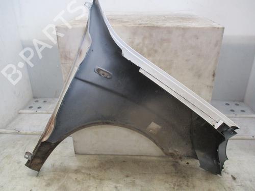 Left front fenders FIAT DOBLO Box Body/MPV (223_) 1.3 D Multijet | BP28800716C41 